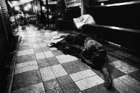 《家非家》系列No. 08的圖片